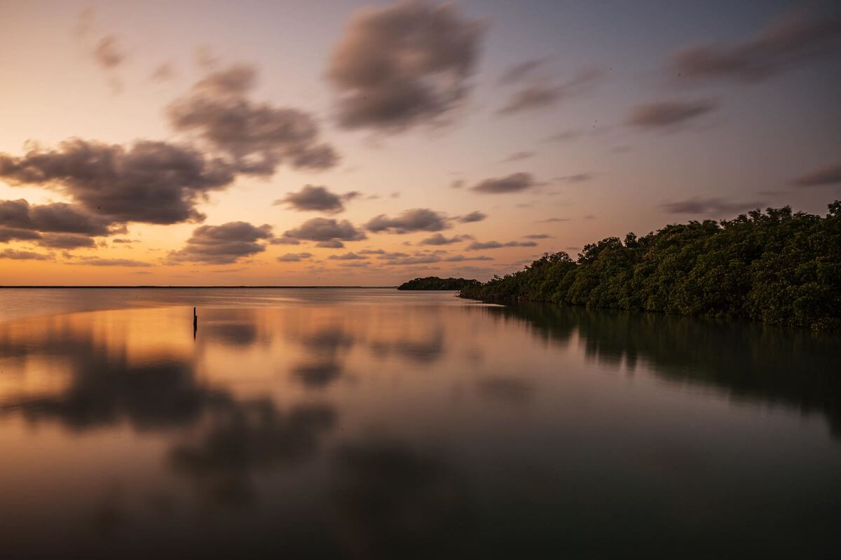 Sian Ka’an: qué ver y hacer en esta fascinante reserva natural en Tulum